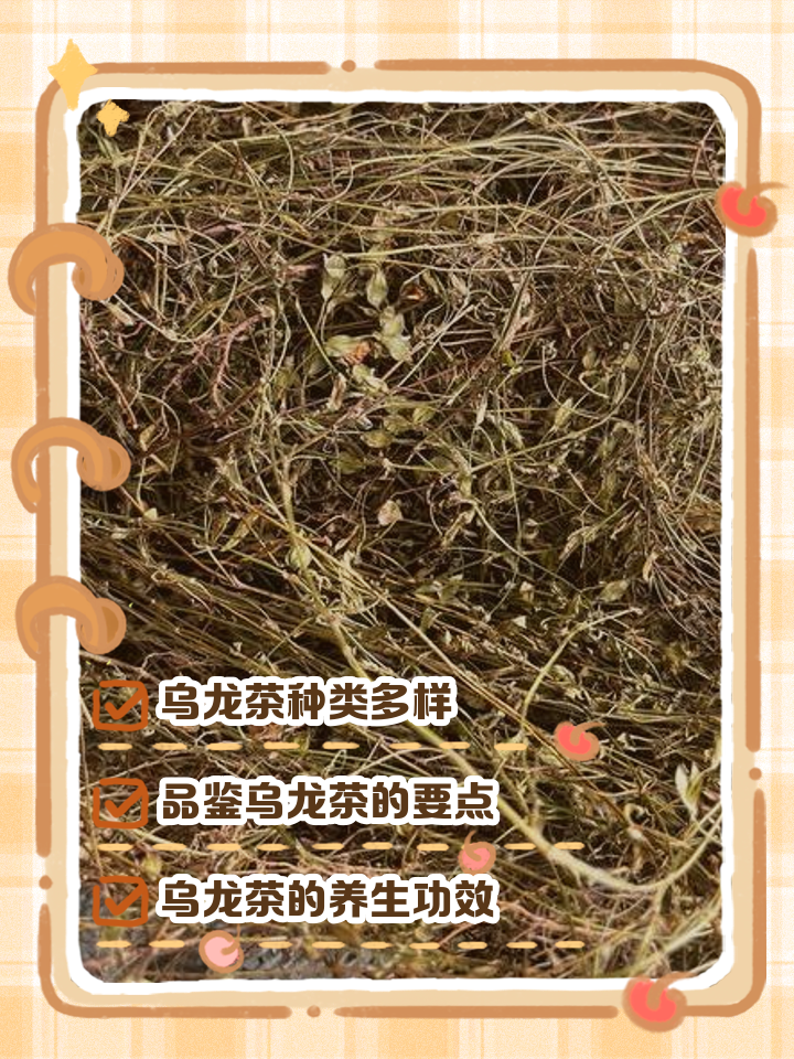 乌龙草的功效及图片(乌龙草的功效及图片与作用)
