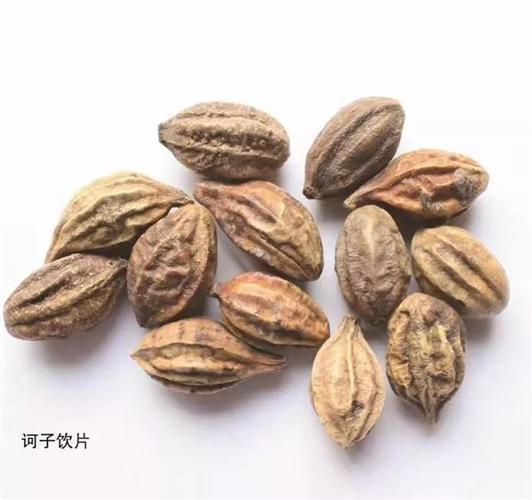 诃子的图片(诃子的图片别名)