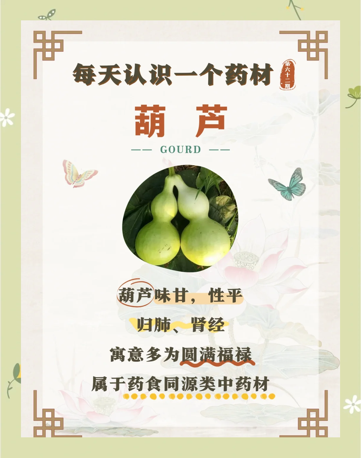葫芦巴的功效与作用(中药葫芦巴的功效与作用)