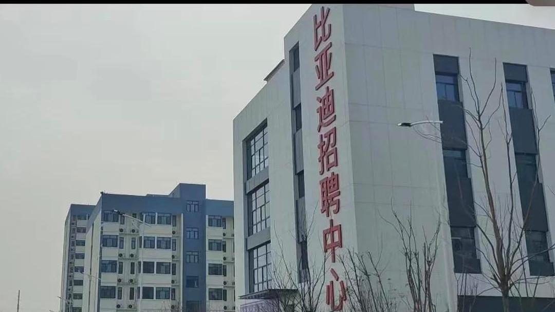 比亚迪招聘官网社会招聘网站(比亚迪招聘官网社会招聘网站下载)