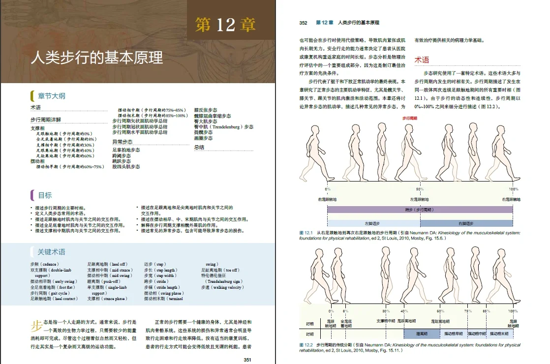 体育概念的历史演变(体育概念的发展与演变)
