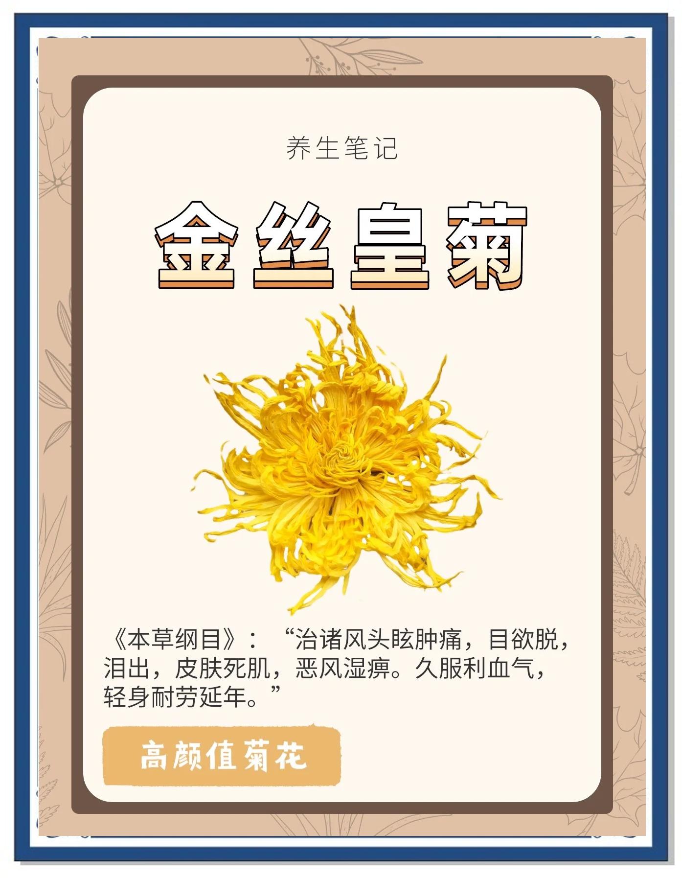 金丝皇菊多少钱一盒(金丝皇菊多少钱一盒啊)