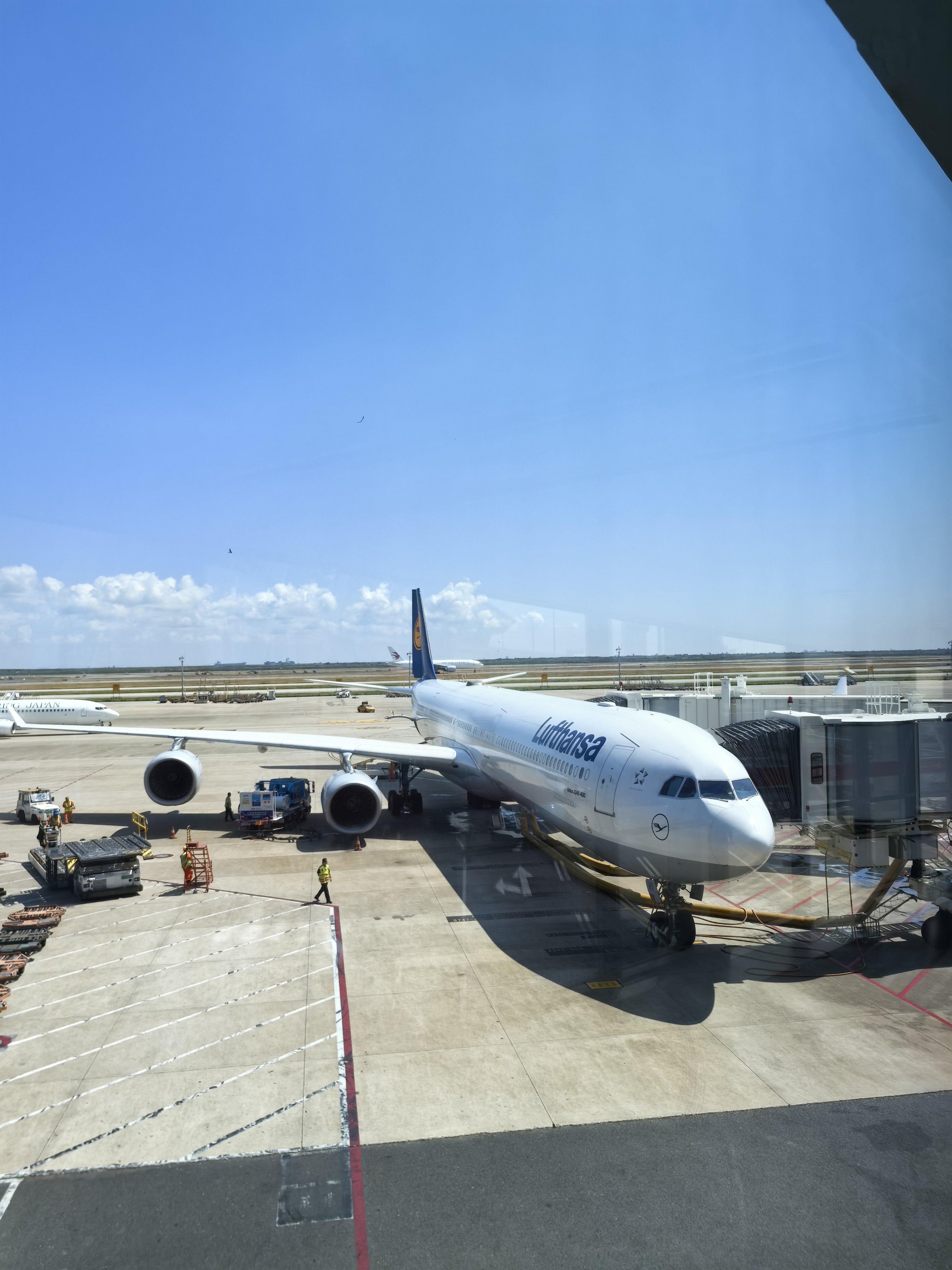 上海航空快运(上海航空快运航空运有限公司)