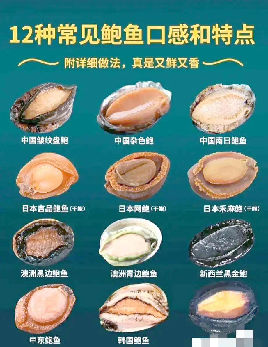 六头鲍鱼是什么概念(六头鲍鱼是什么概念啊)