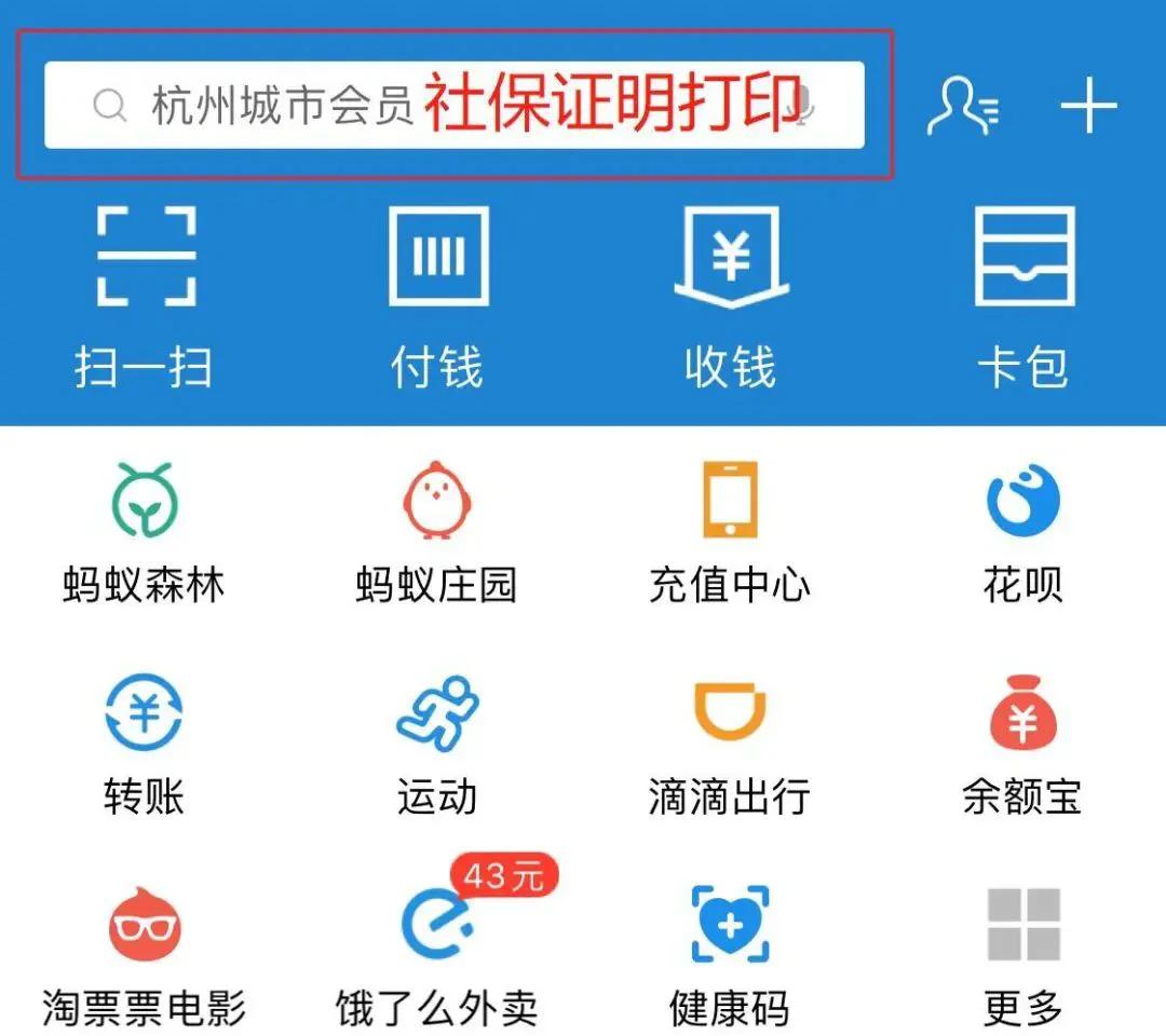 长春市社保查询个人账户查询系统(长春市社保查询个人账户缴费明细查询)