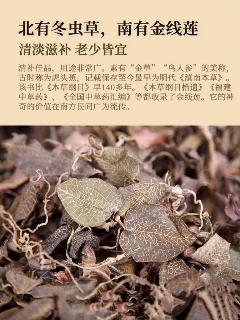 金线莲的功效与作用及食用方法(野生金线莲的作用和能治疗什么病)