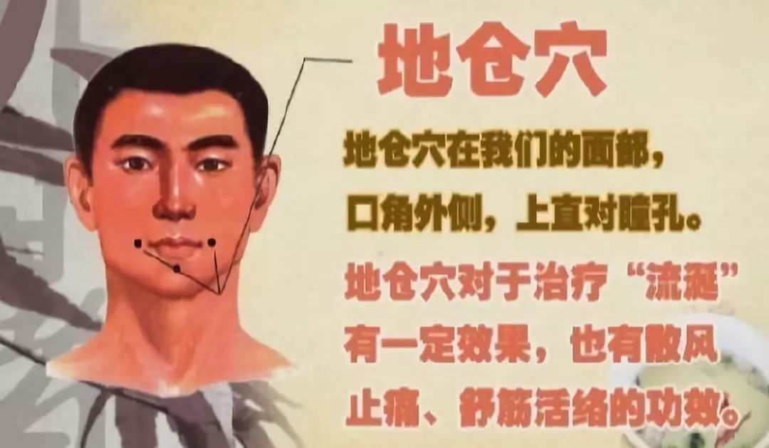 地仓的位置和功效(地仓的准确位置及作用)