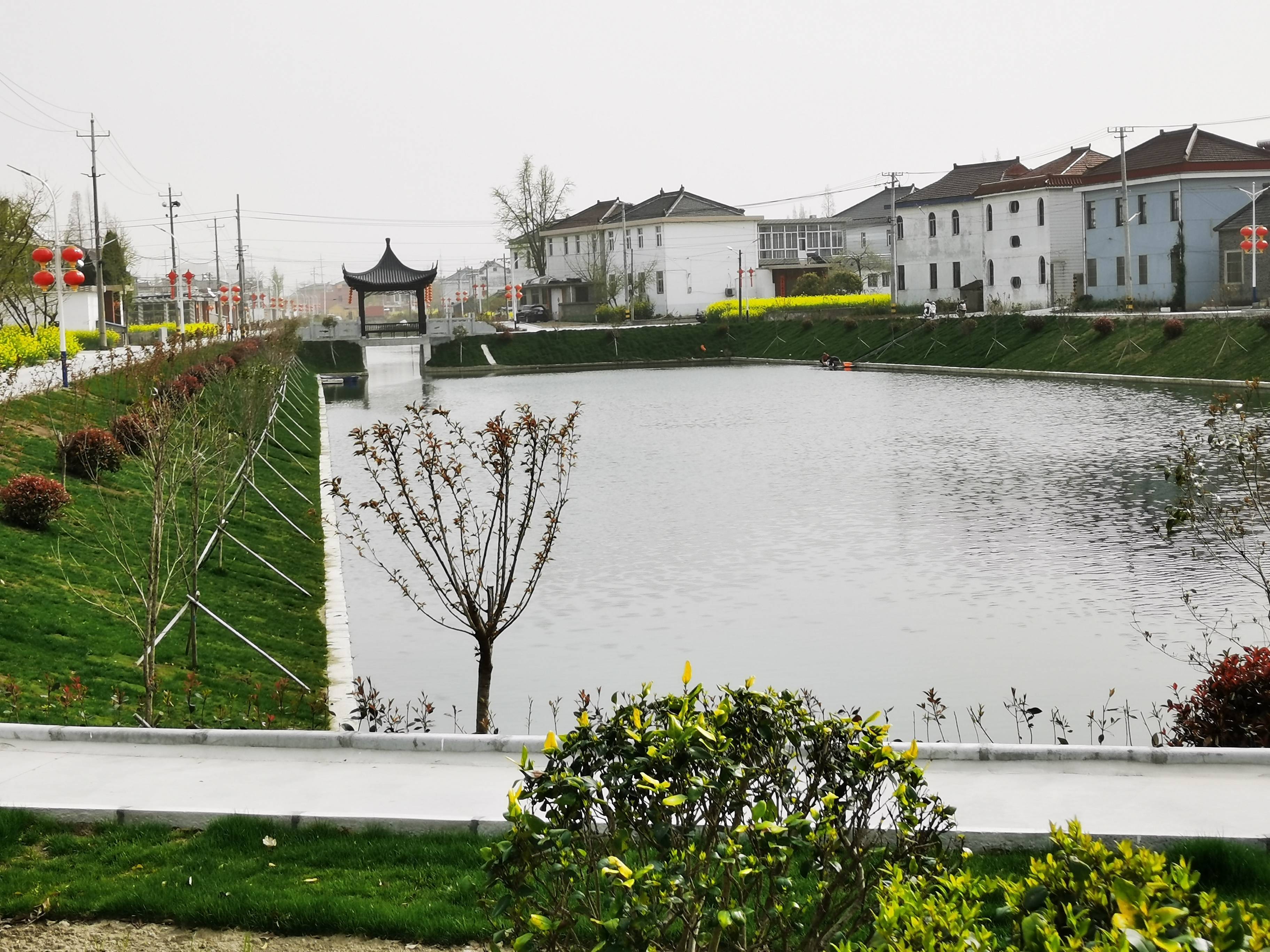 三水姜堰论坛(姜堰区三水网2021年)
