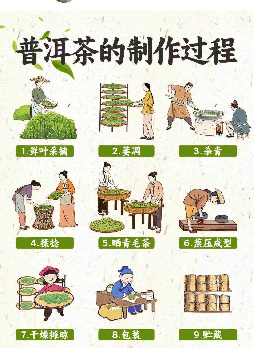 普洱茶保存方法(普洱茶保存方法家庭储藏)