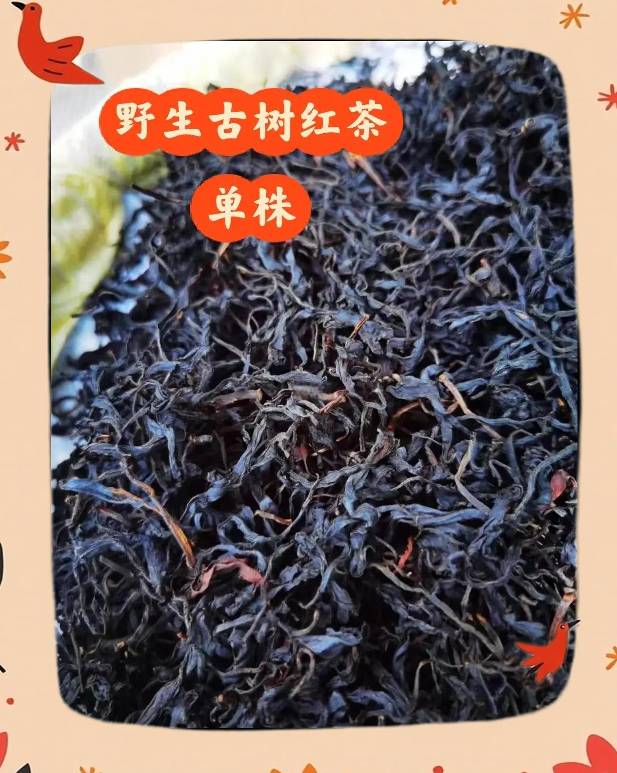 野生红茶是高档茶吗(野生红茶和普通红茶的区别)