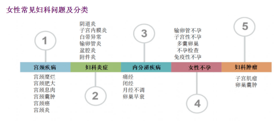 女性生殖好看图片(女性生殖好看图片搜索)