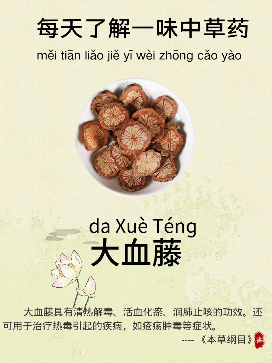 五香血藤的功效与作用(五香血藤的功效与作用及食用方法)