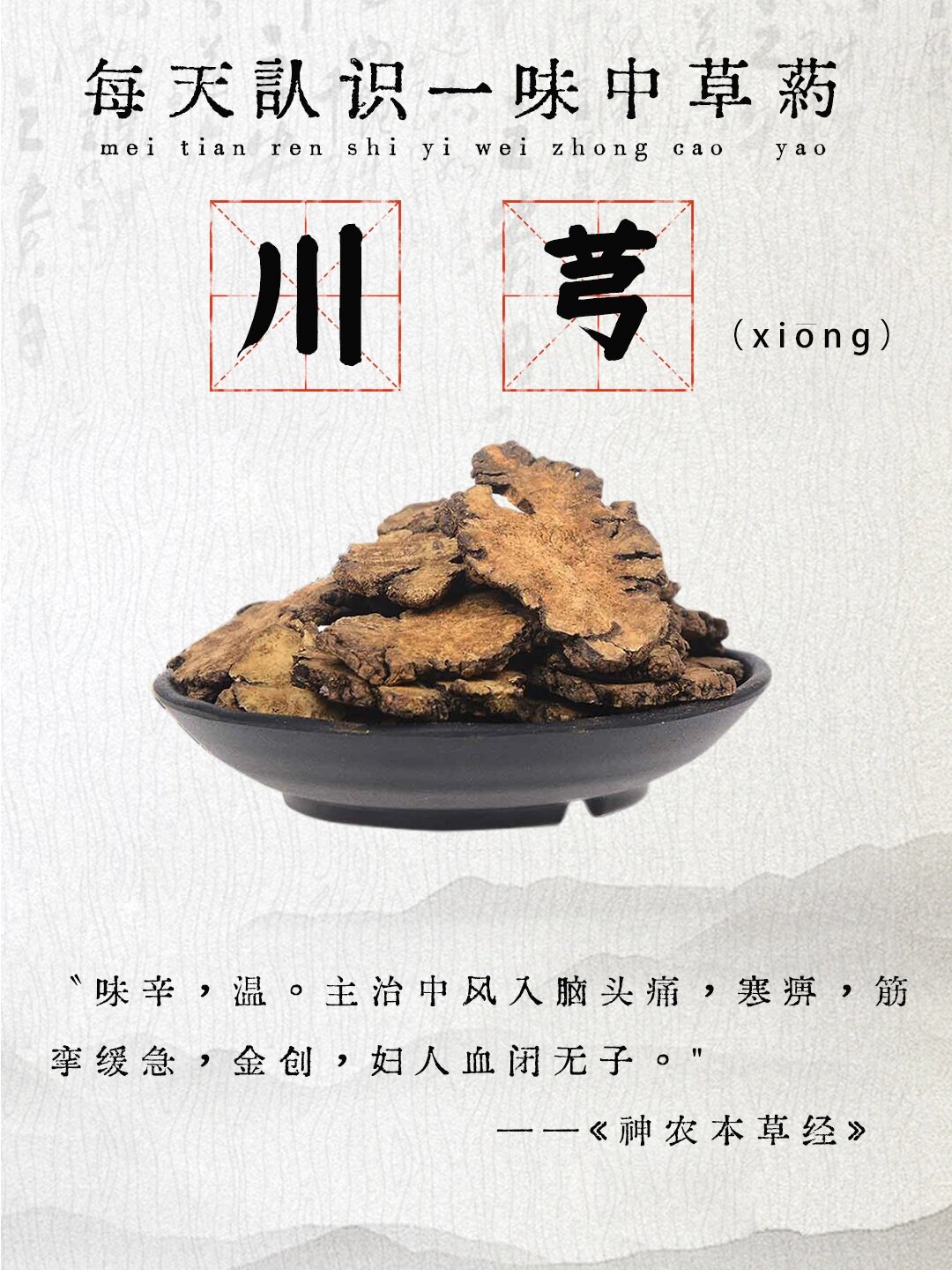 川芎的功效与作用禁忌(川芎的功效与作用禁忌与副作用有哪些)
