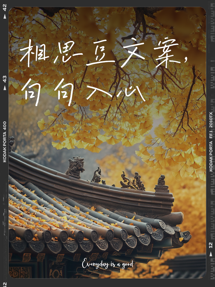 相思的句子(关于相思的句子)