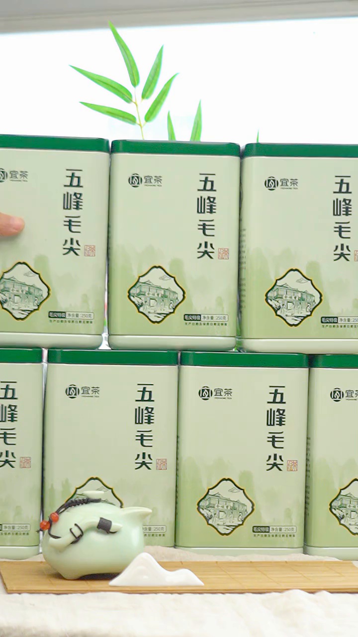 五峰毛尖(五峰毛尖是哪里产的)