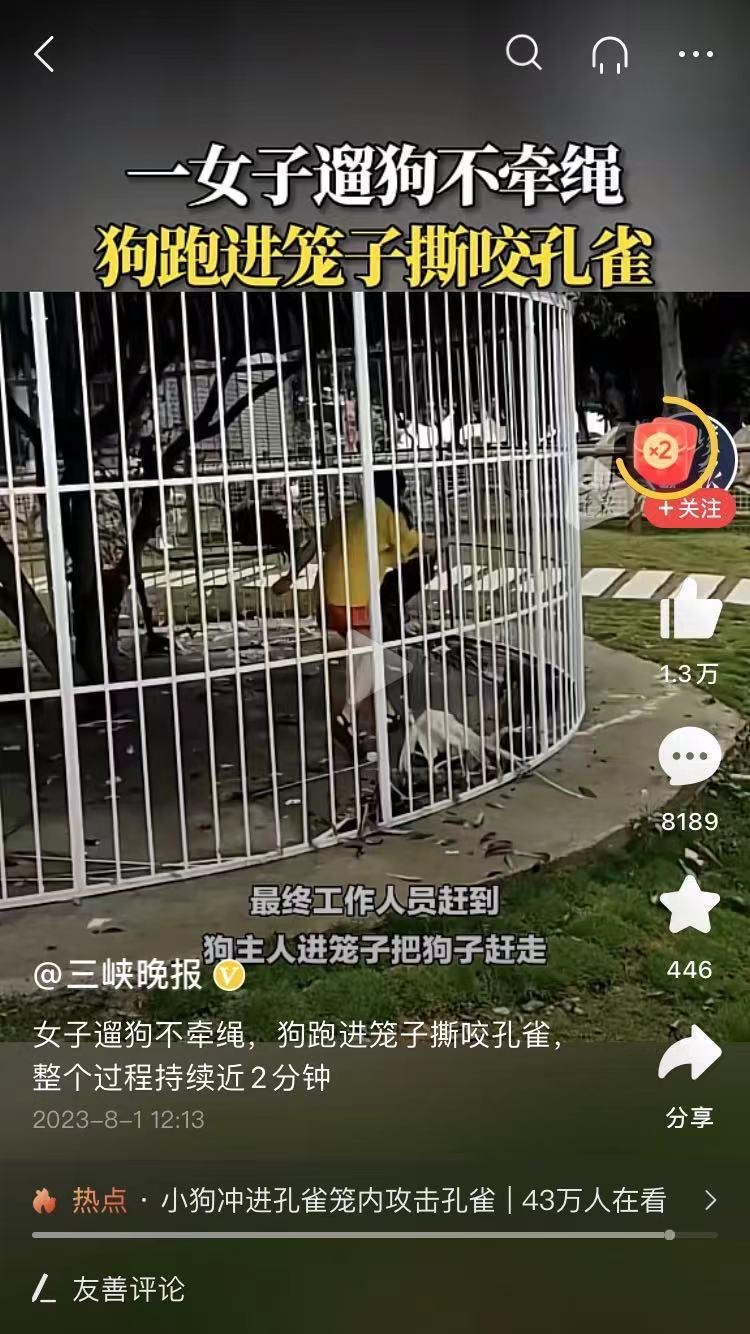 狗狗进公园被拦收2元停车费(狗狗进公园被拦收2元停车费天气预报)
