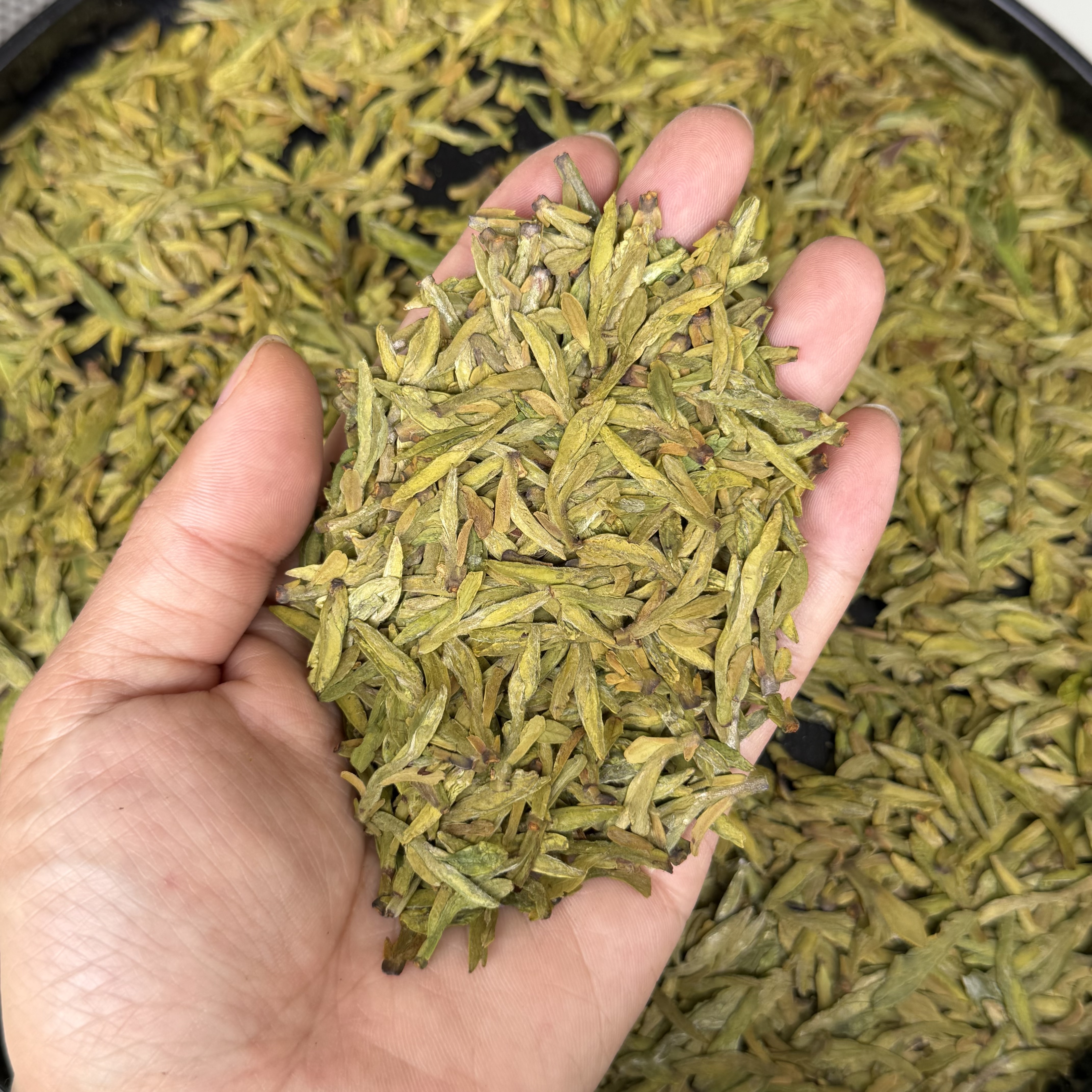 龙井茶产地(龙井茶产地都有哪里) 龙井茶产地(龙井茶产地都有哪里)