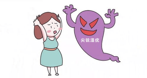 外阴疣图片(阴囊疣是什么样子图片)