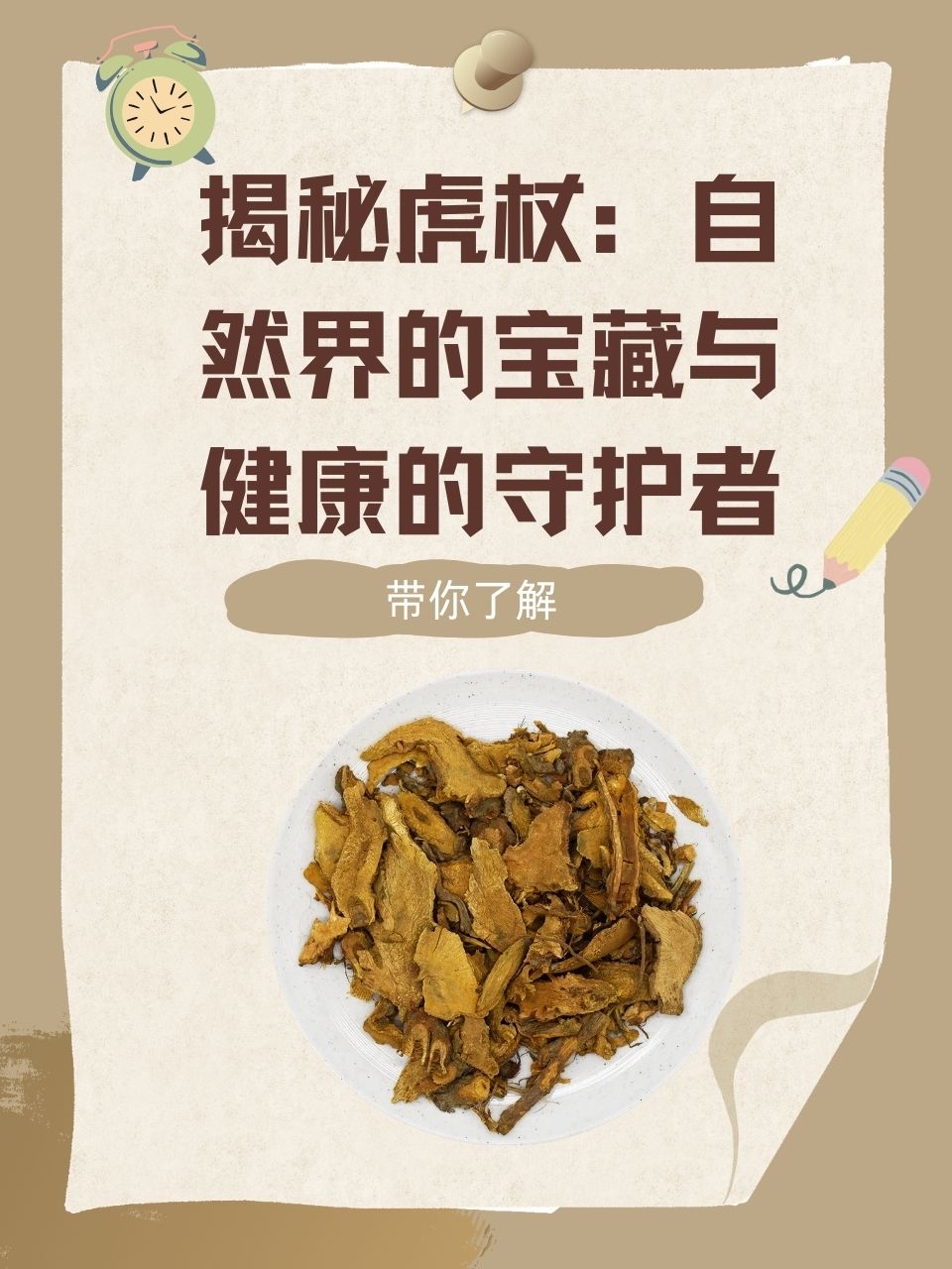 虎杖的功效与作用图片(虎杖的功效与作用和主治)