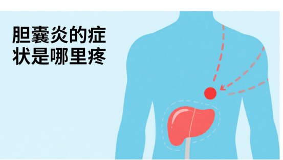 肝胆疼痛一般在哪个部位图片(肝胆疼痛一般在哪个部位图片大全)