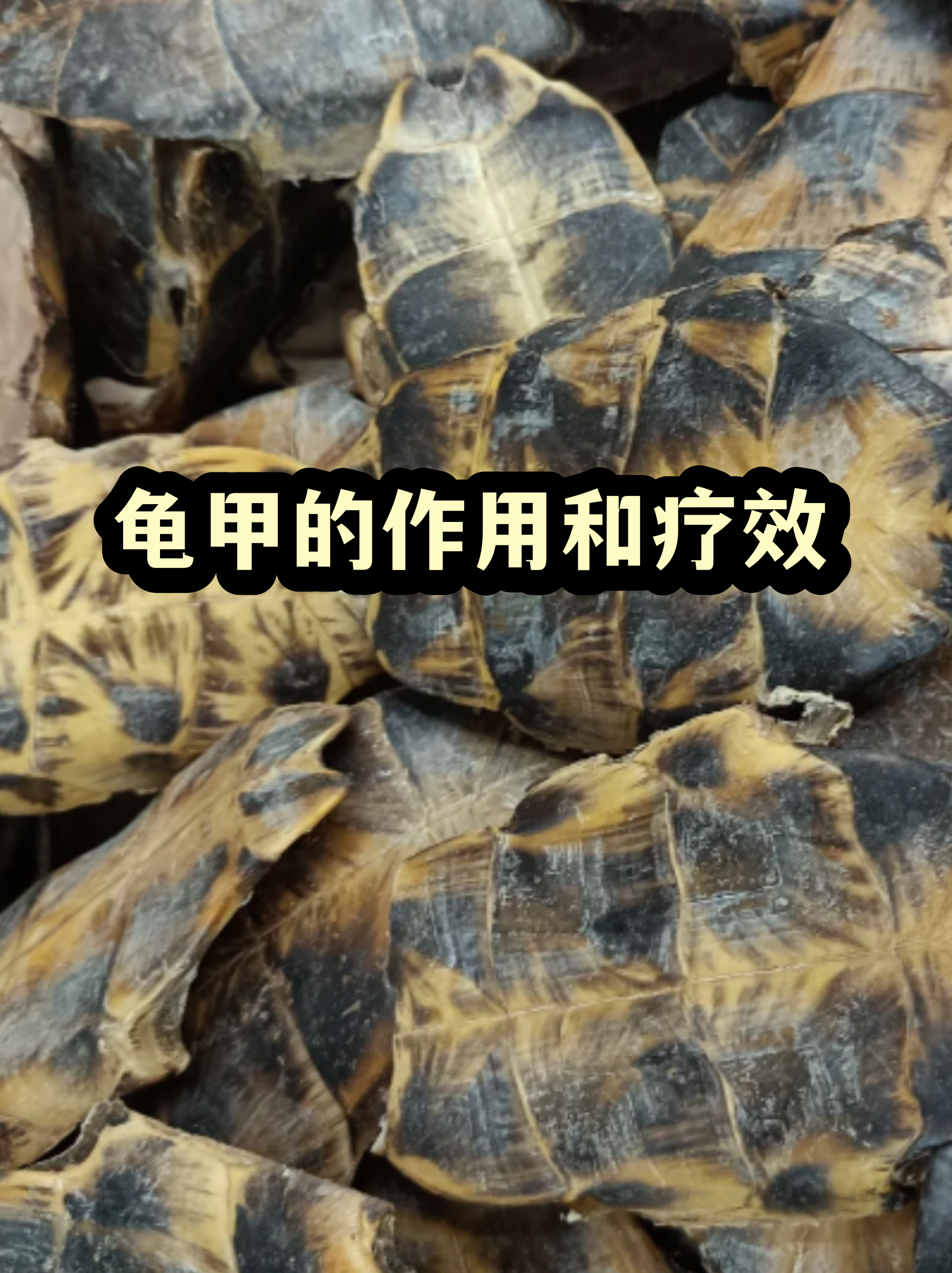 牛黄上清丸的功效与作用(牛黄上清丸和牛黄解毒丸的区别功效)