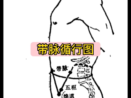 带脉的准确位置图(腰两侧带脉的准确位置图)