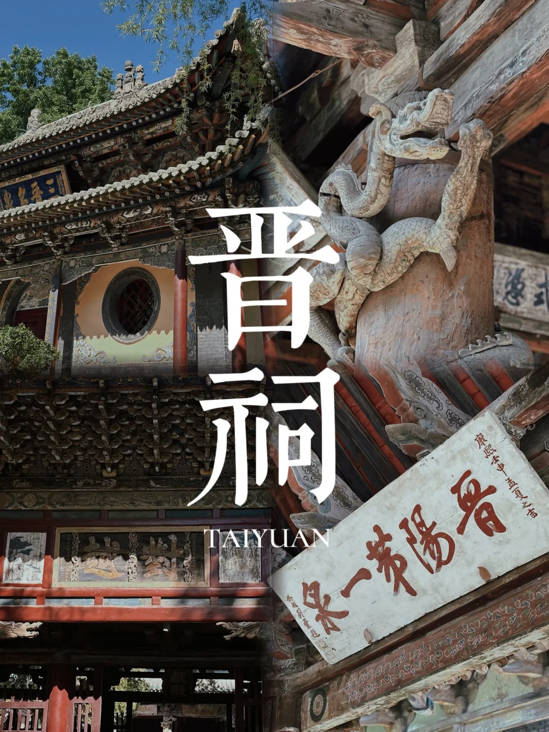 一窥长生(一窥到底是什么意思)