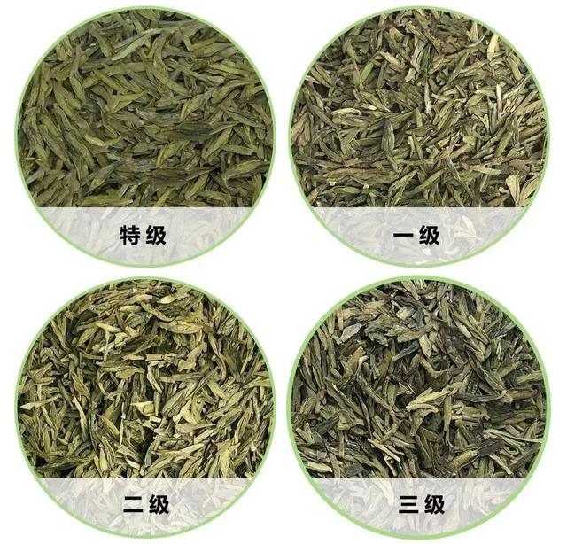 龙井43属于什么等级(龙井43茶叶的品种特点)