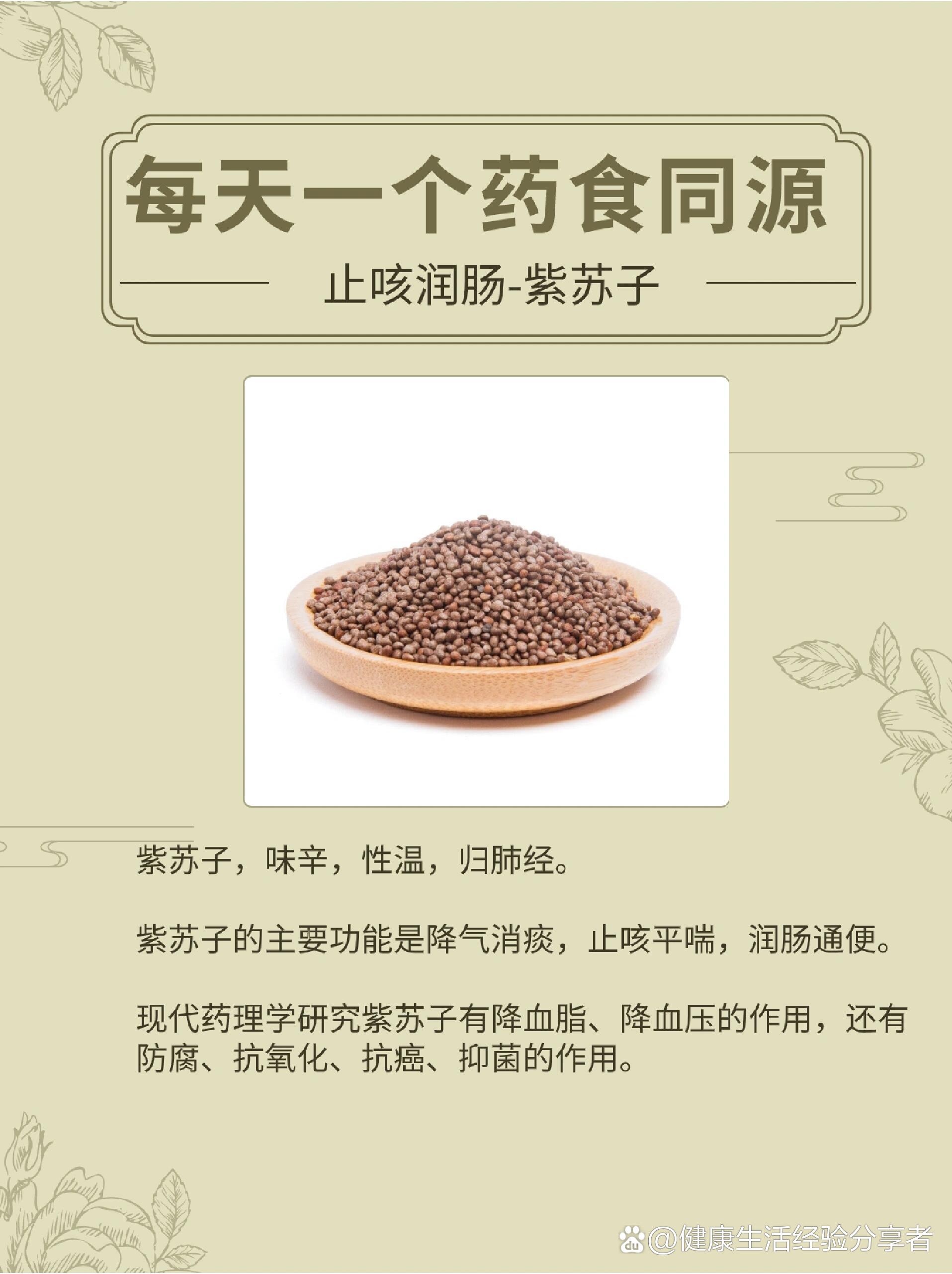 香苏饮的功效和作用(香苏饮的组成功效与主治)