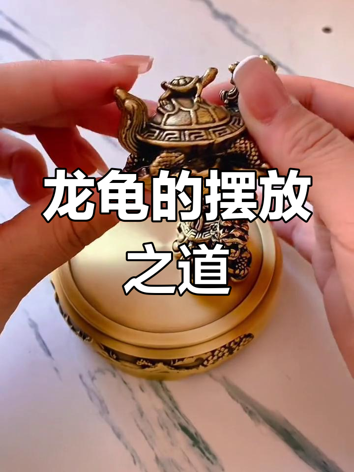 龙龟的摆放方法及禁忌(八卦龙龟的摆放方法及禁忌) 龙龟的摆放方法及禁忌(八卦龙龟的摆放方法及禁忌)