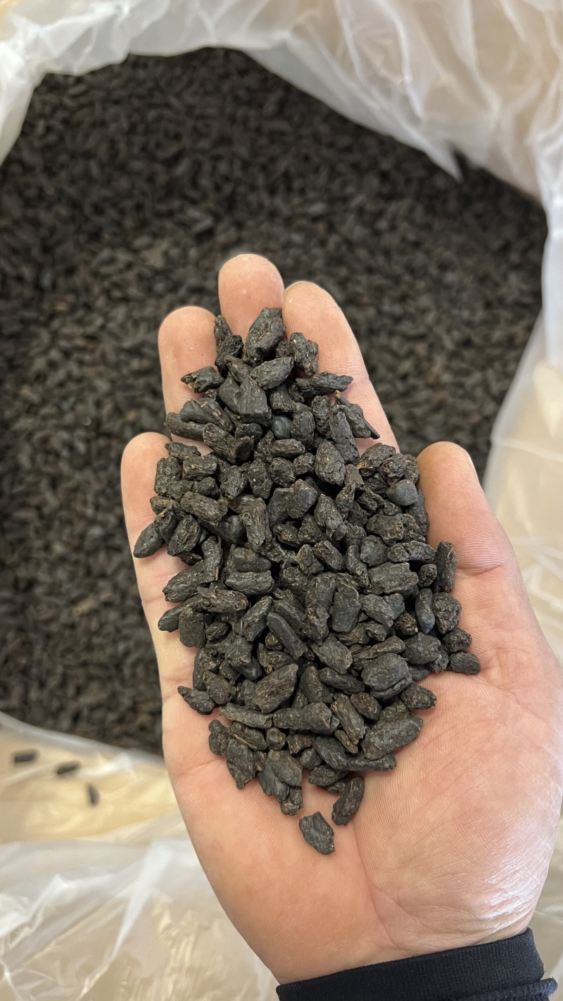 茶化石碎银子普洱茶功效与作用(茶化石和碎银子之类的对健康有害吗)