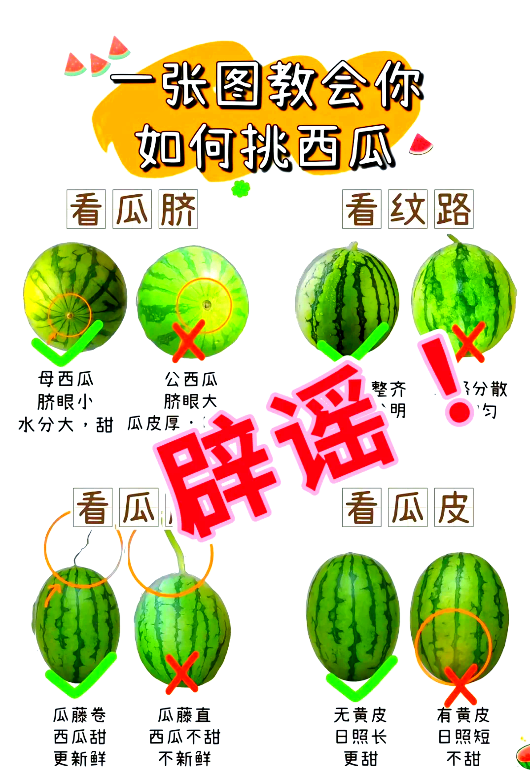 8424和麒麟瓜有什么区别(8424和麒麟瓜是一个品种吗)