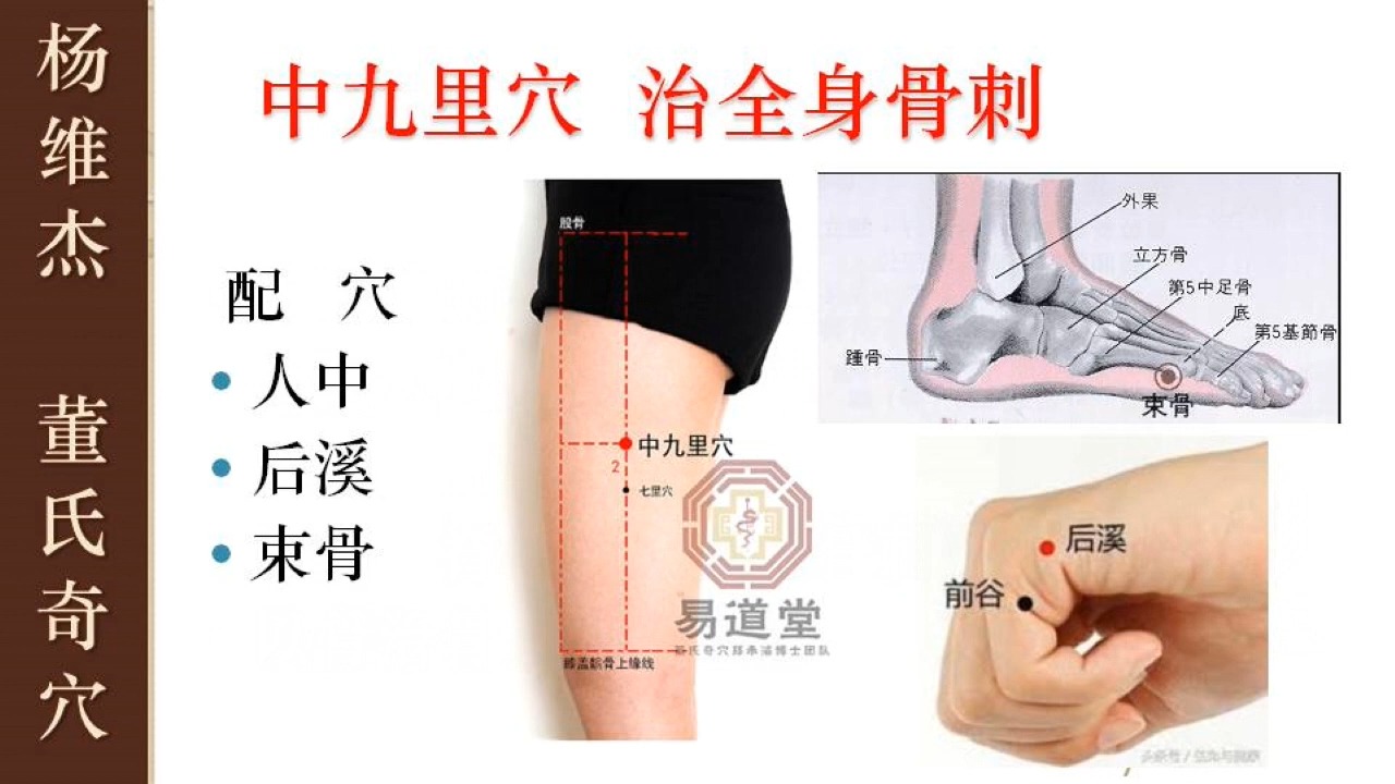 束骨的准确位置及功效(束骨的准确位置及功效视频)