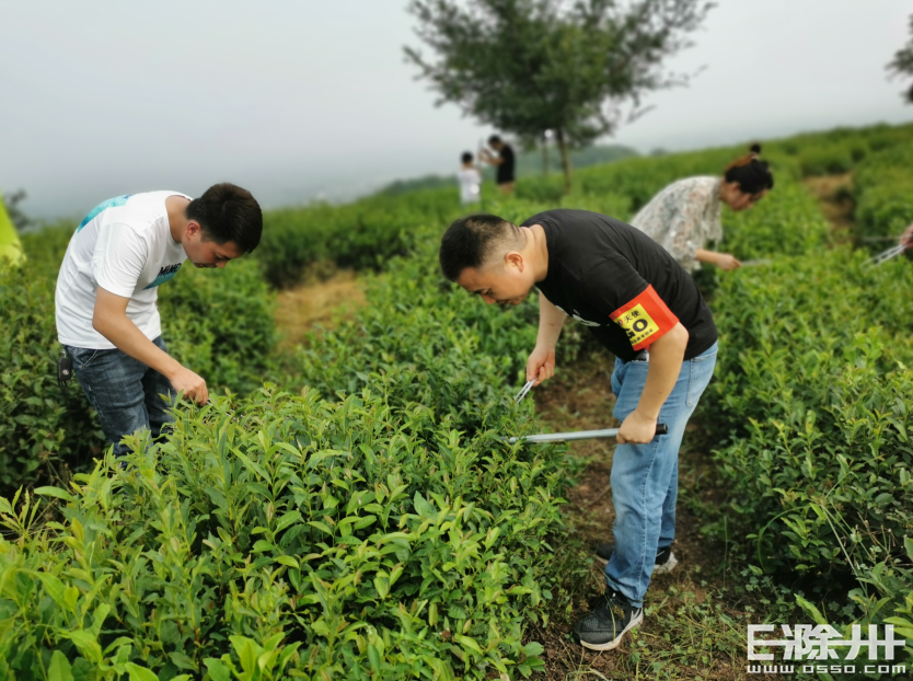e滁网(E滁网滁州海亮学校)