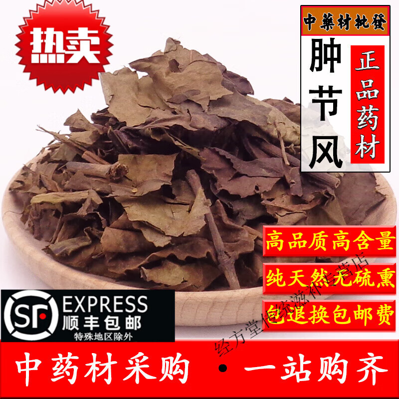 九节风草药的功效与作用(九节风草药的功效与作用图片)