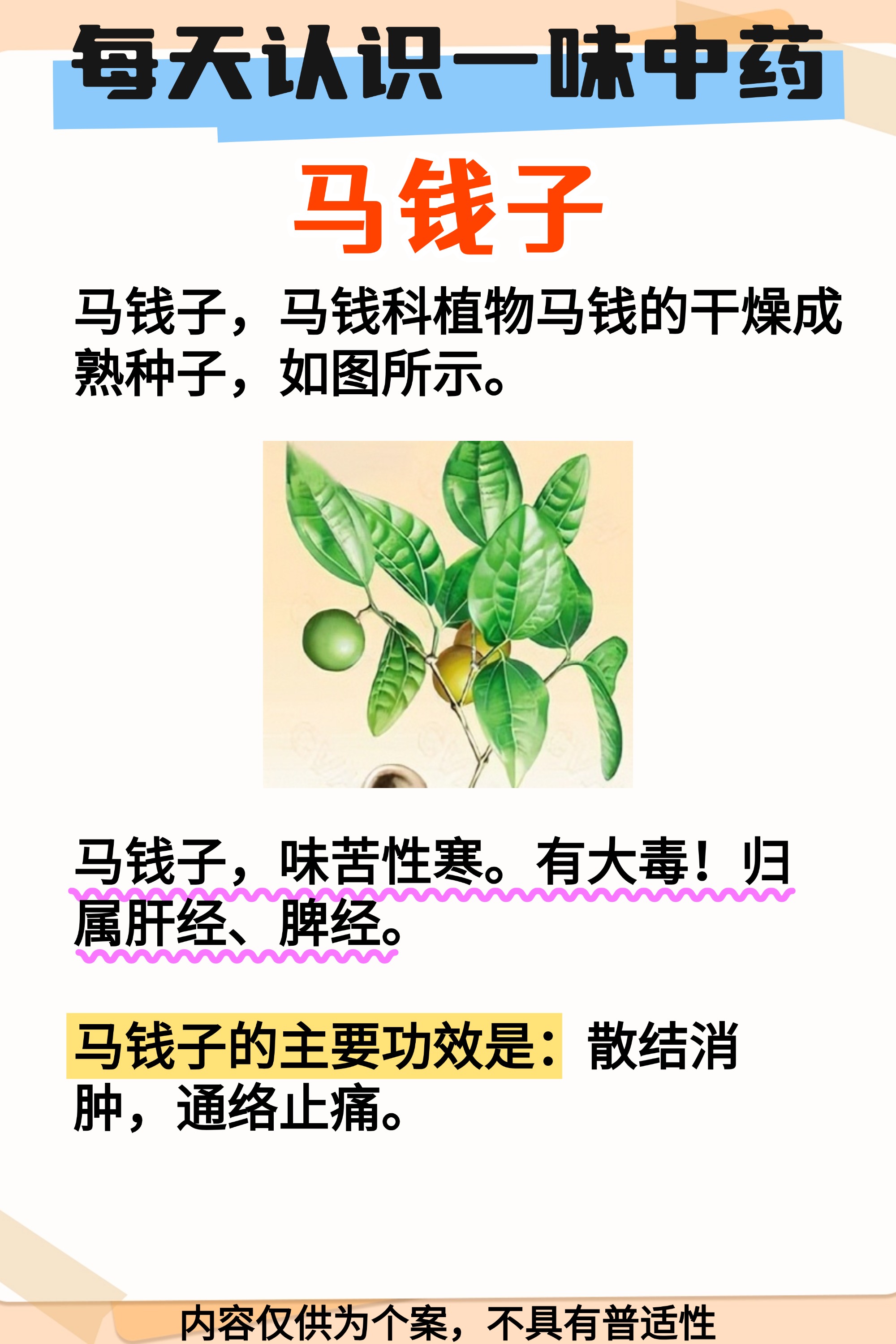地钱的功效与作用(地钱草中草药的功效与作用)