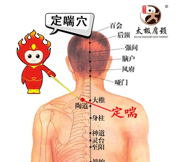 定喘的准确位置图(定喘的准确位置图作用功效)