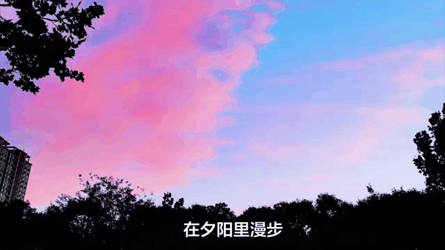 微信动态背景图怎么弄(微信主页面怎么设置图片背景)