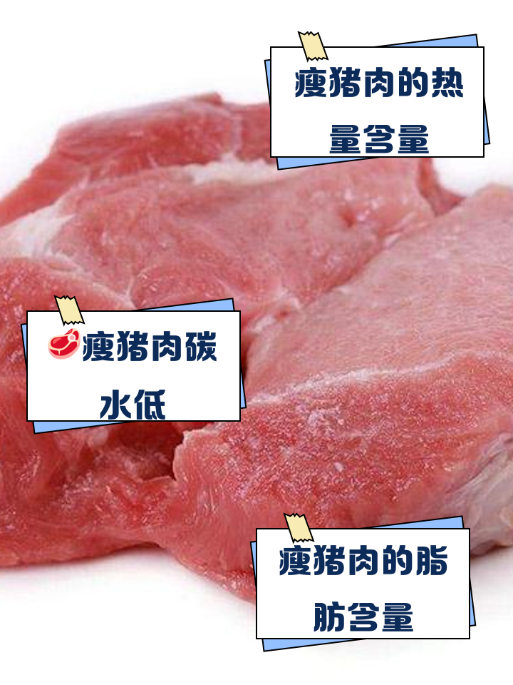 猪肉的营养成分含量表(猪肉营养成分含量表100g)
