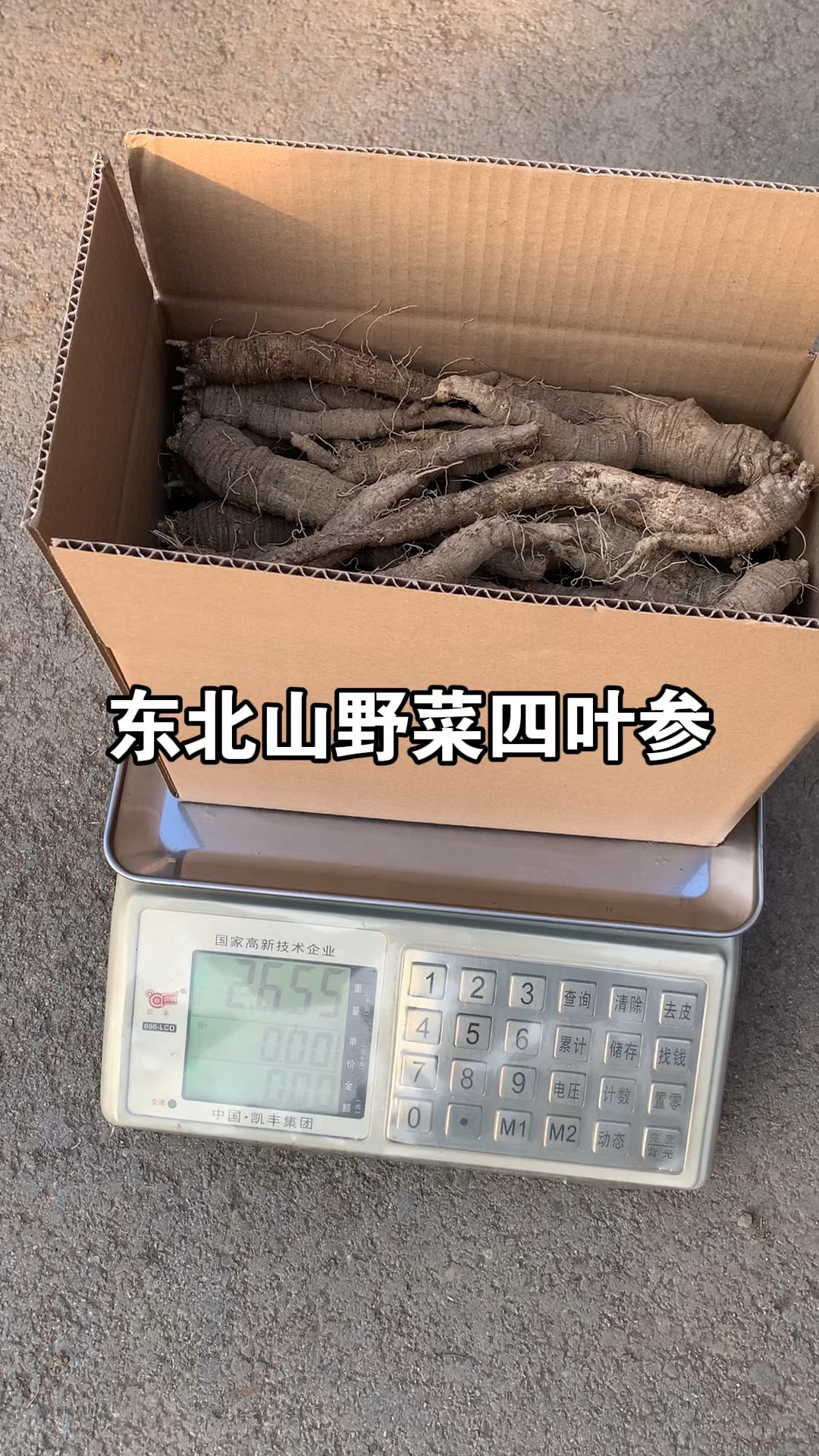 四叶参图片大全(四叶参图片和介绍)