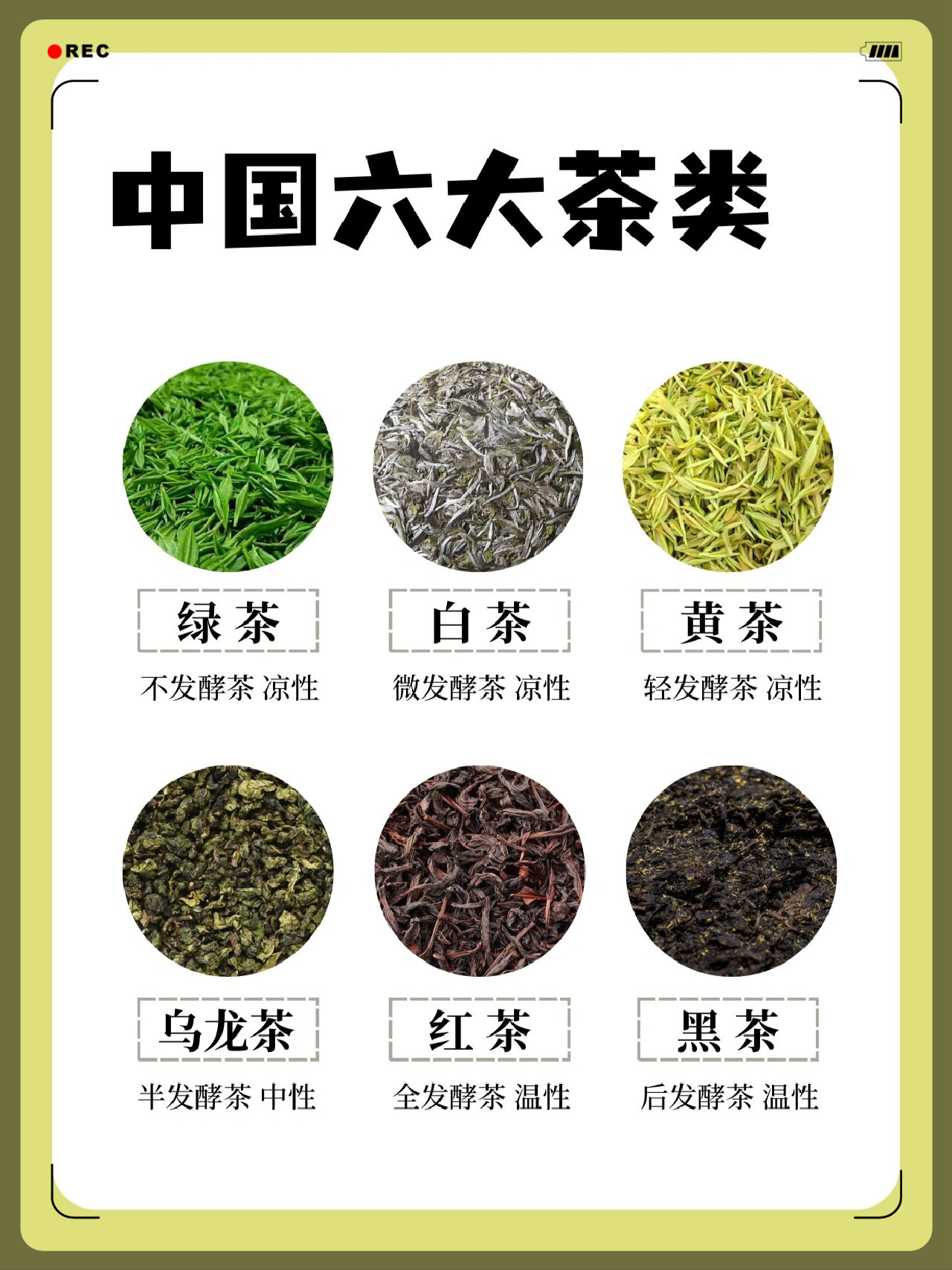 茶叶种类(茶叶种类大全)
