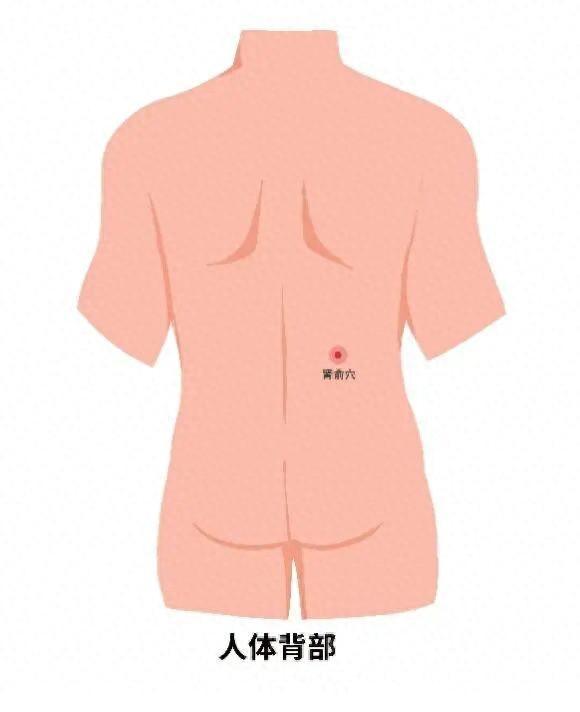 腰眼的准确位置图(腰眼的准确位置图作用功效)