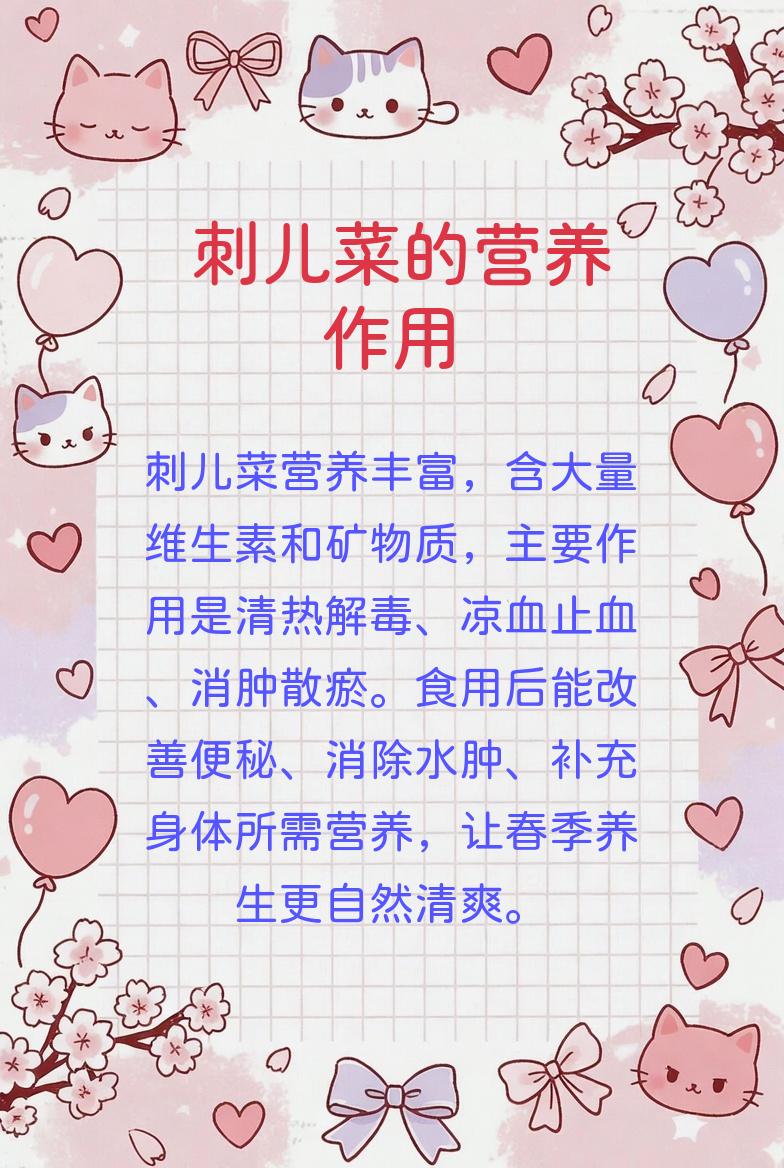 刺儿菜功效和吃法(刺儿菜的药用价值和功效)
