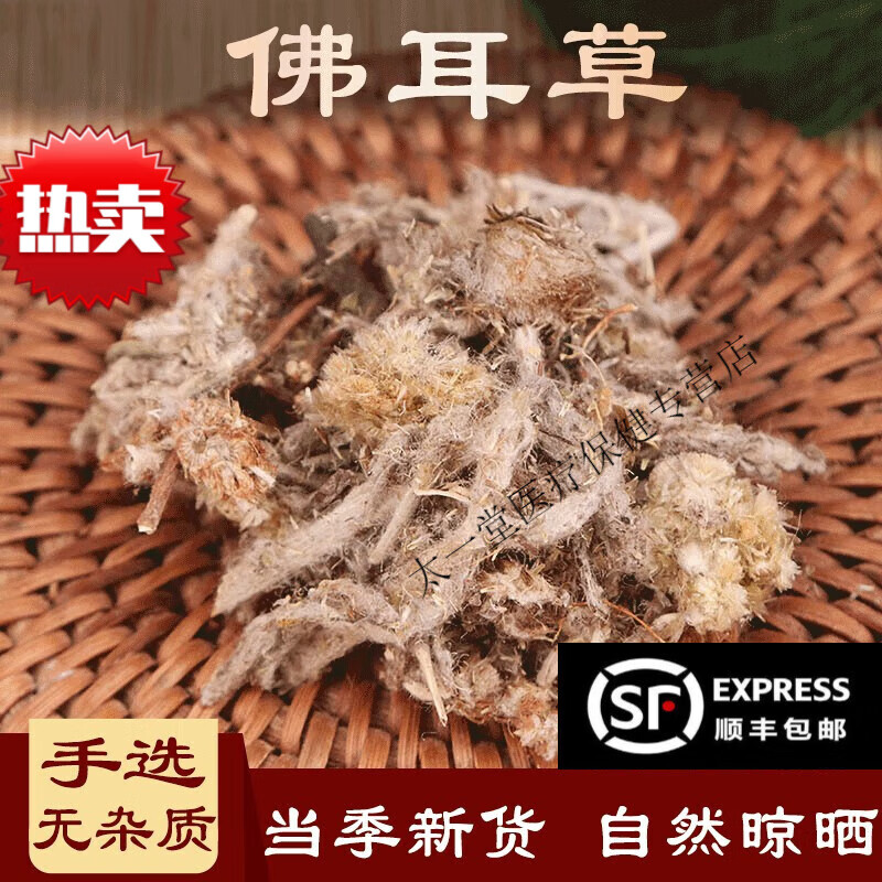 追骨风(追骨风草药图片大全)