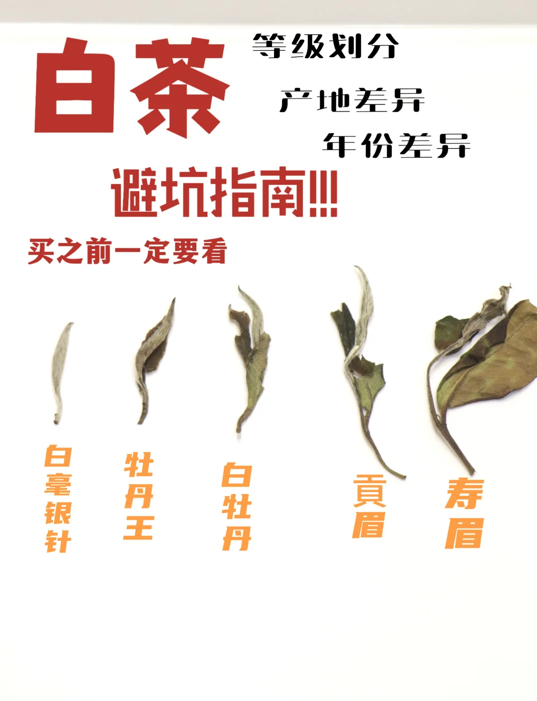 白茶优劣区分(白茶品相好坏口感有差距吗)