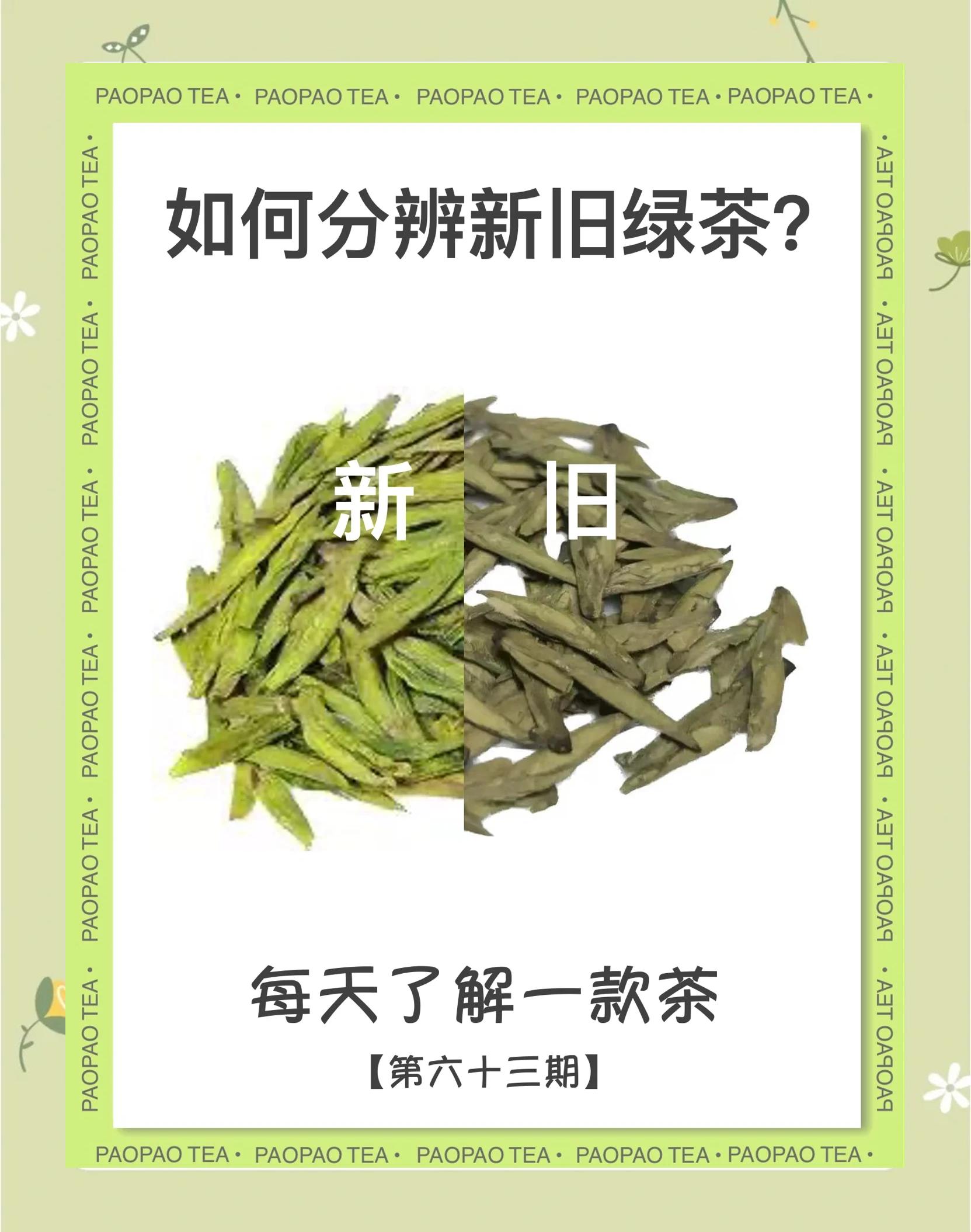 普洱茶怎么分辨好坏(普洱茶怎么区分好坏的视频)