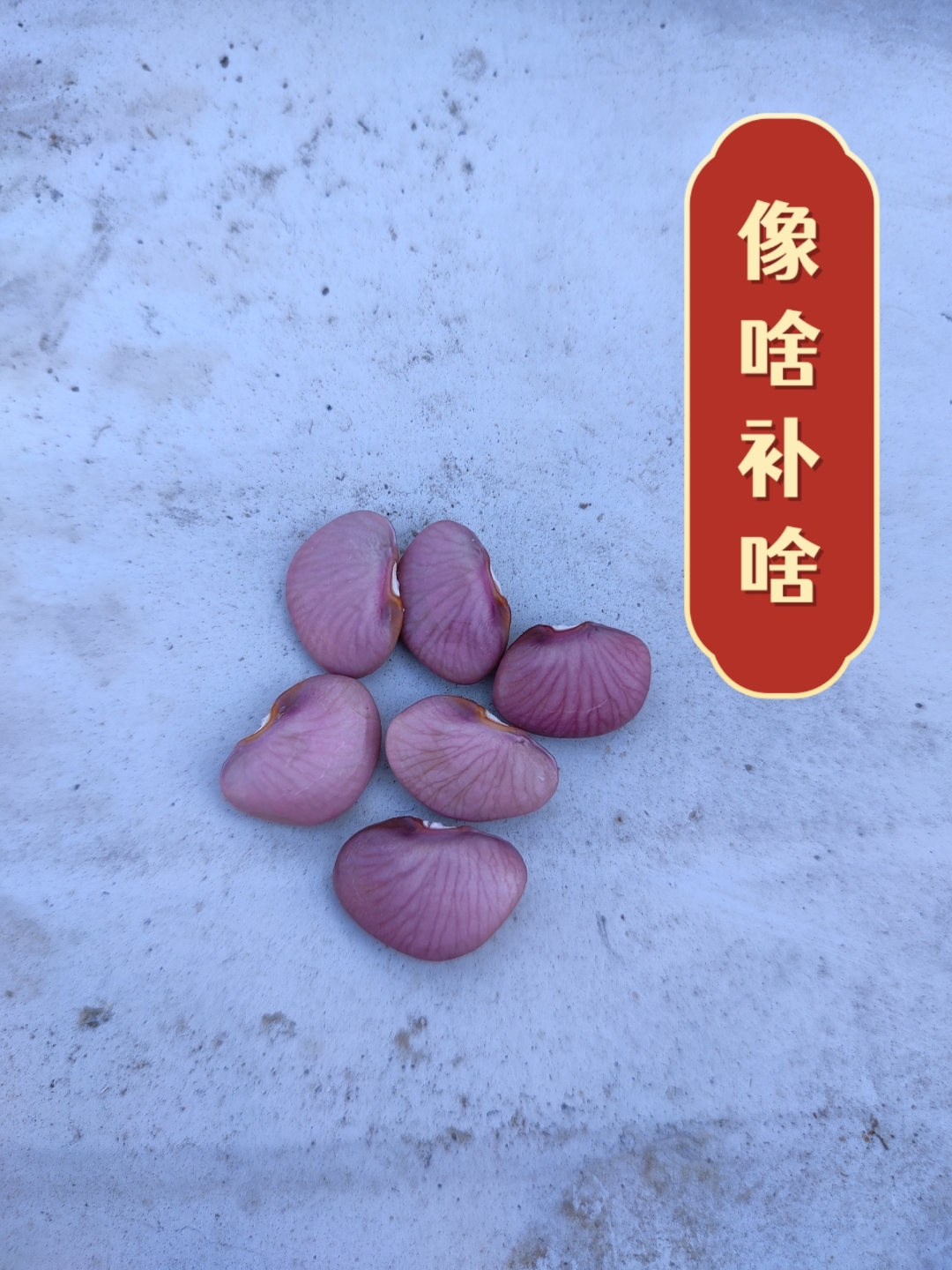 腰豆的功效与作用(腰豆的功效与作用及食用方法)