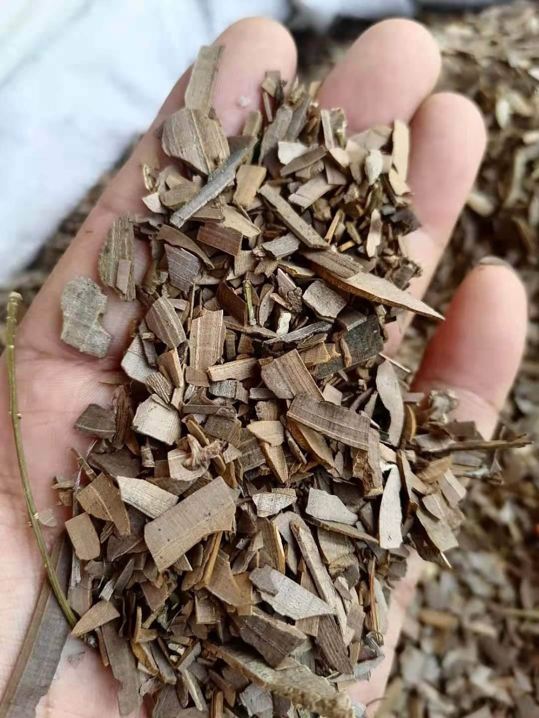 老头草的功效和作用(老头草的功效与作用 老头草的使用禁忌)