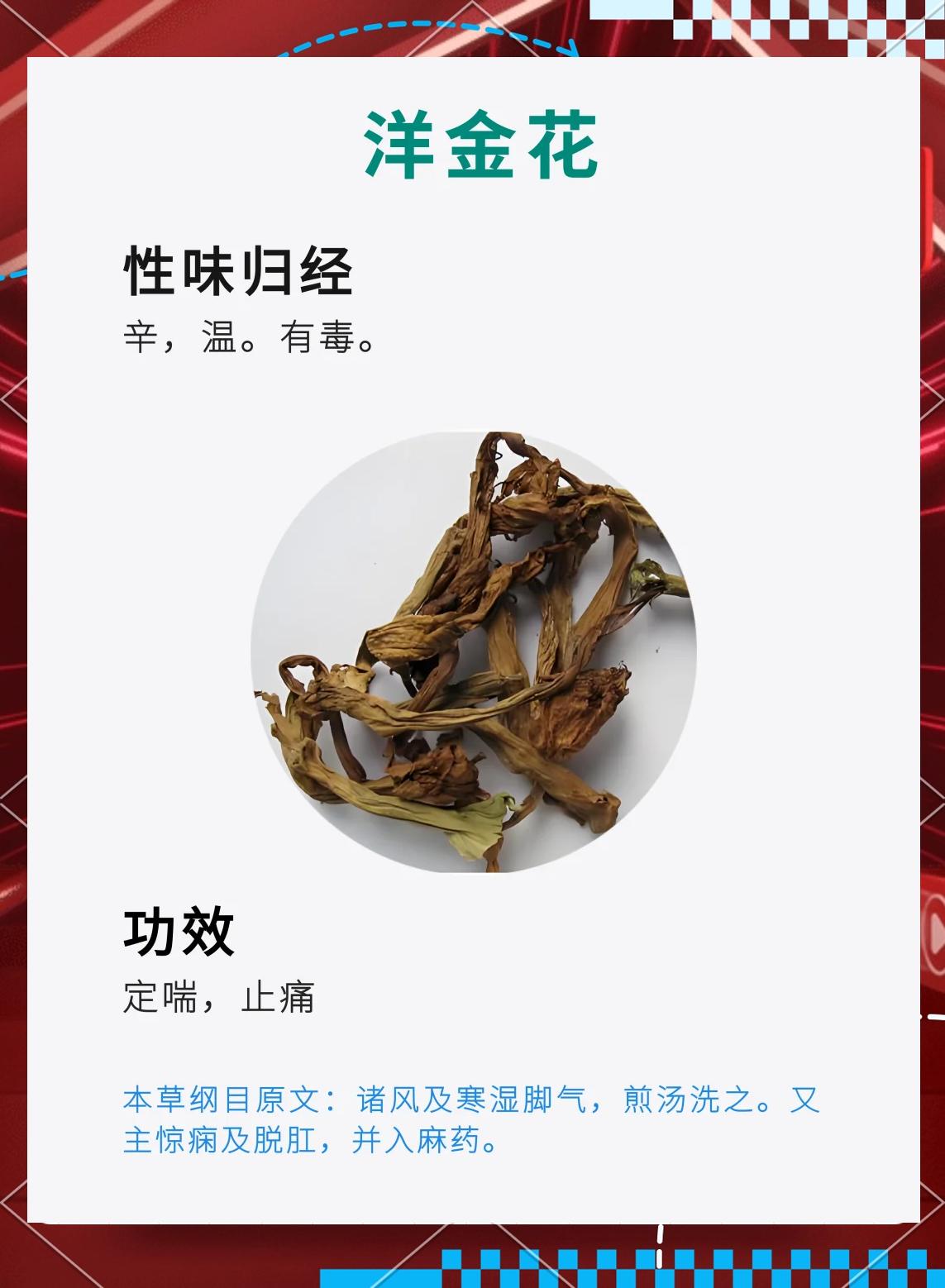 金边莲的作用与功效(金边莲药用功效作用图片)