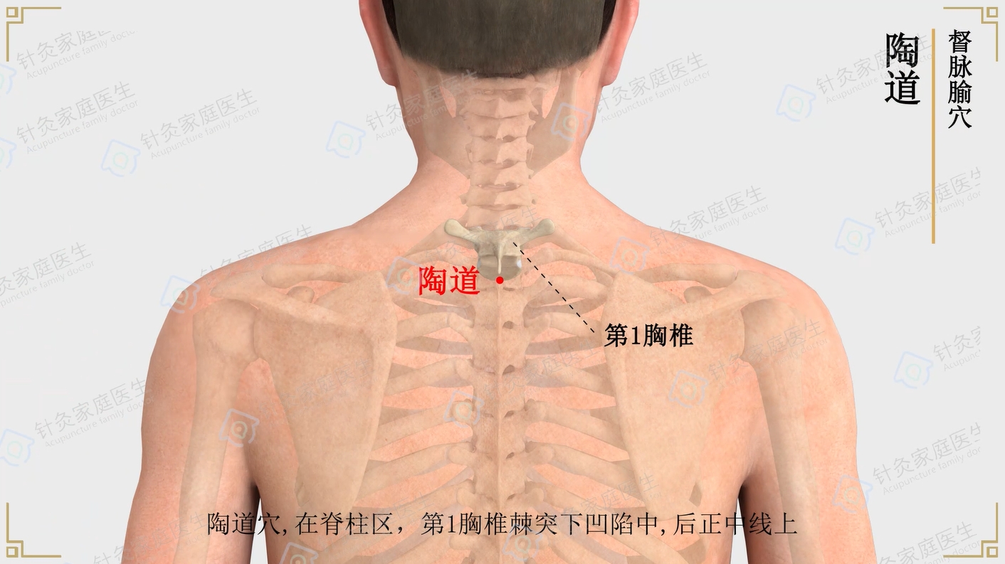 前顶穴(前顶穴按压疼)
